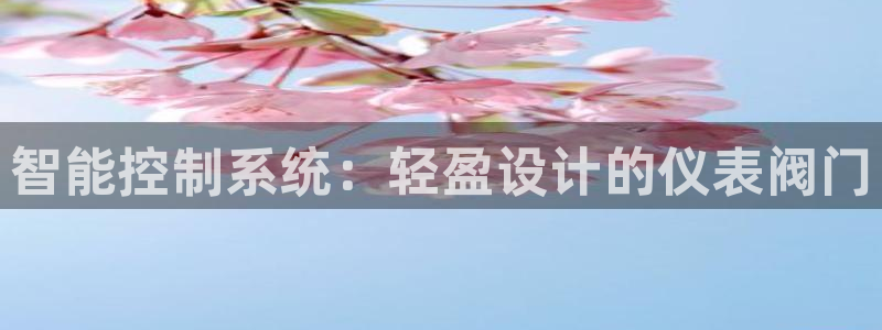 宝新gg