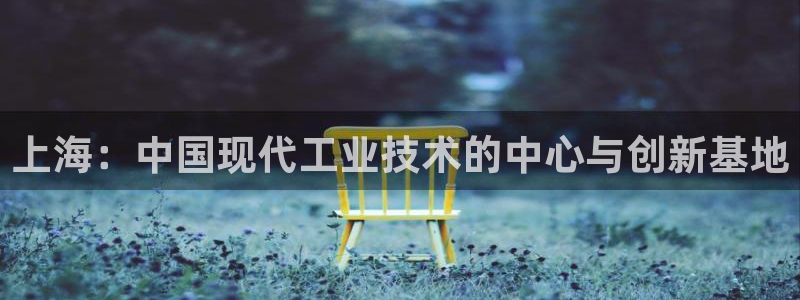 新宝gg是什么