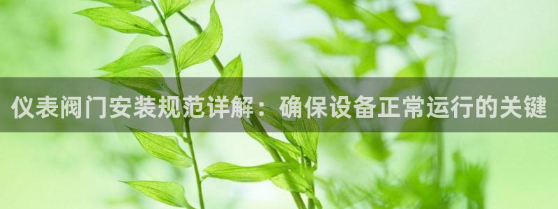 新宝gg 平台怎么样
