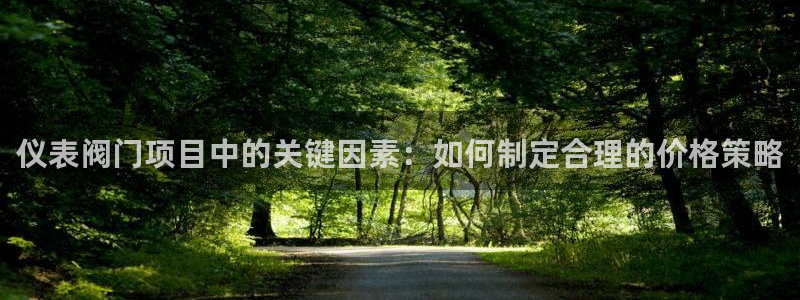 新宝gg登录注册