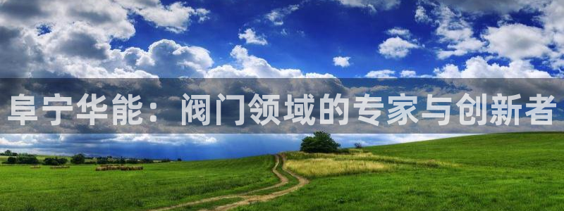 新宝gg图片