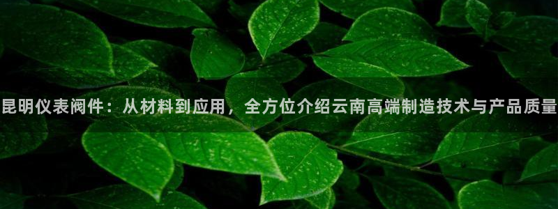手机新宝gg