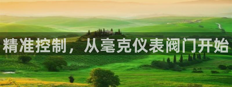 新宝GG挂机