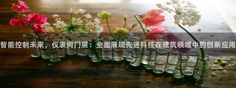 新宝gg总部
