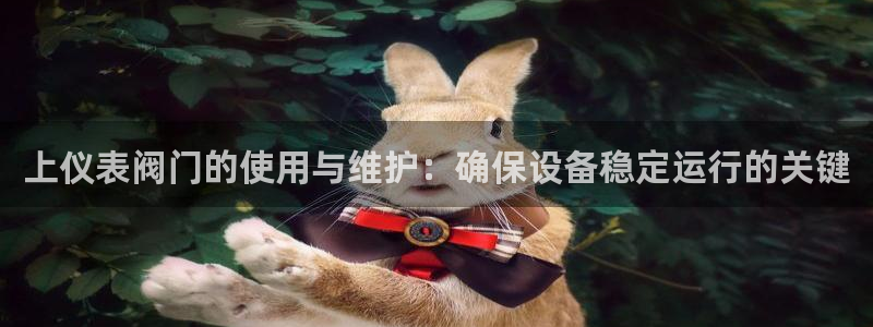 新宝gg佣金