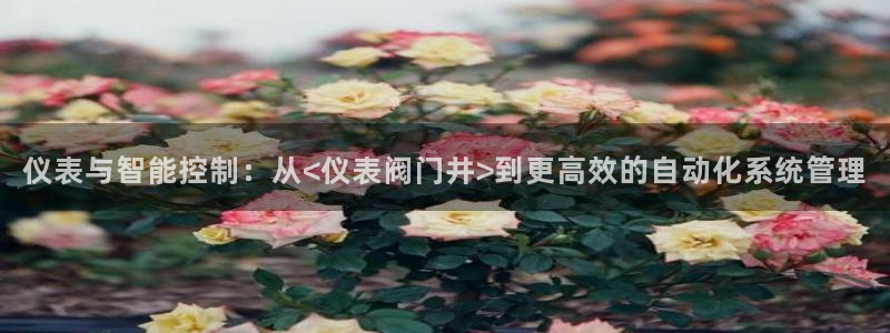 新宝gg赚钱