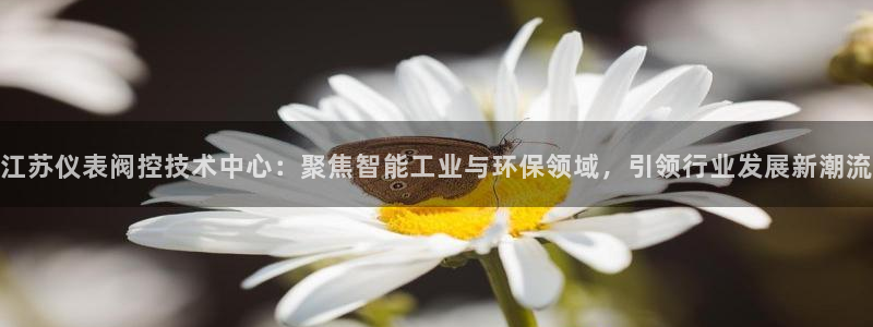 新宝gg怎么样