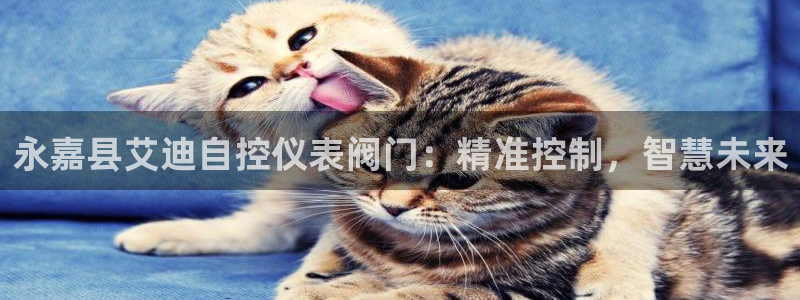 新宝gg待遇