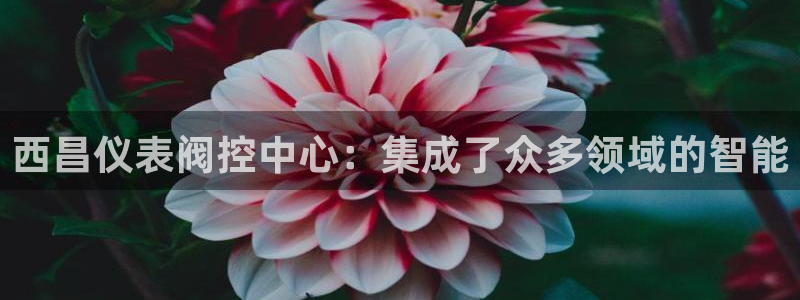 新宝gg官网