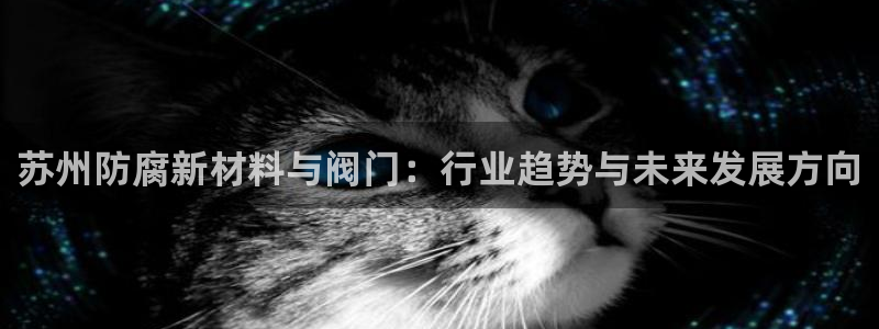 11新宝gg