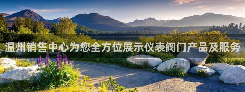 新宝gg娱乐-上鼎狐网