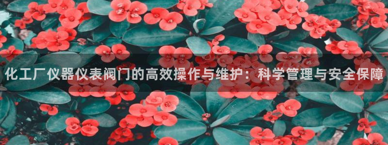 新宝gg 创造奇迹