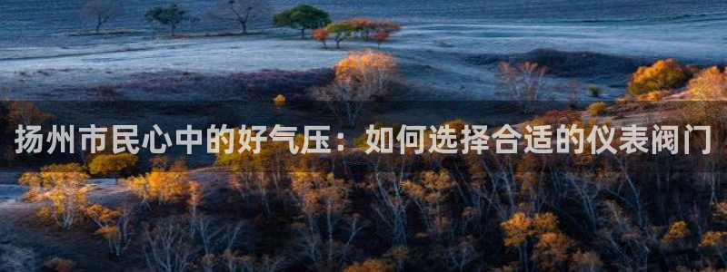 新宝gg是在境外吗