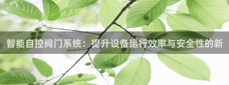 新宝gg计划