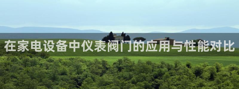新宝gg是什么