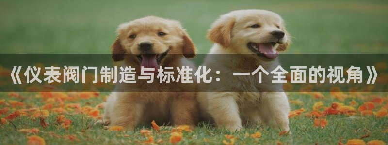 新宝gg时时彩