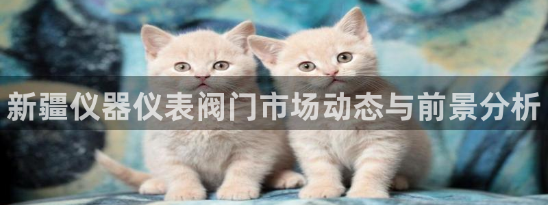 新宝gg登陆