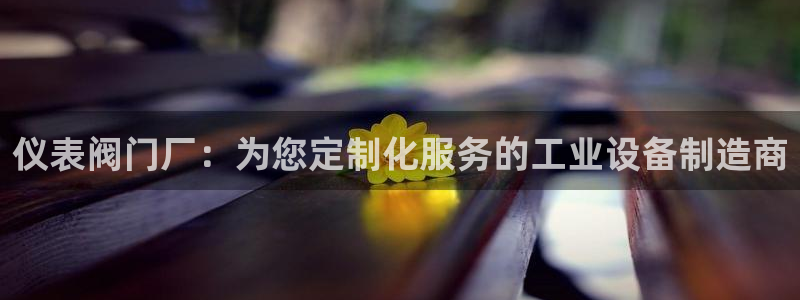 新宝gg有假吗