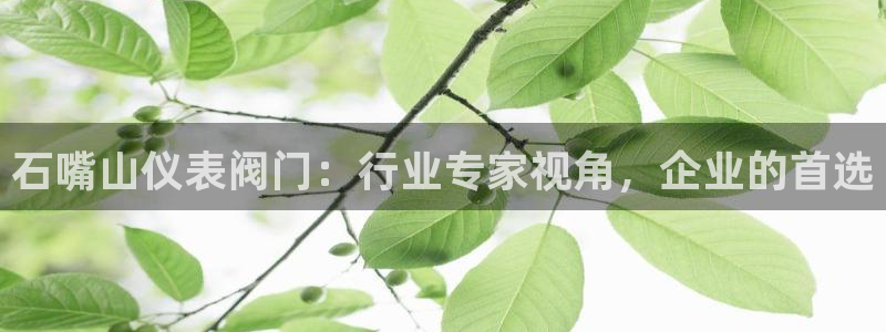 新宝gg娱乐首页