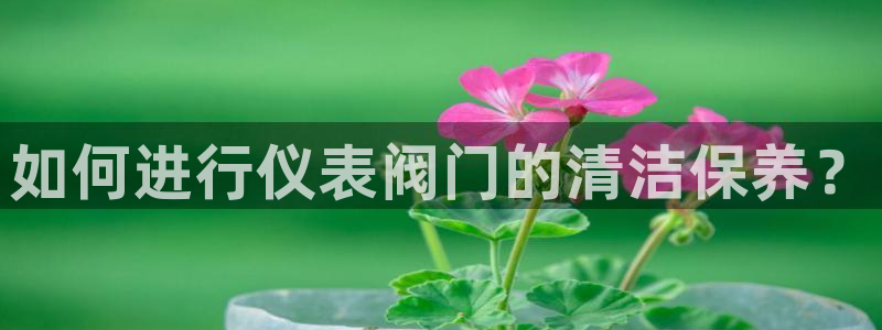 新宝gg官方主管