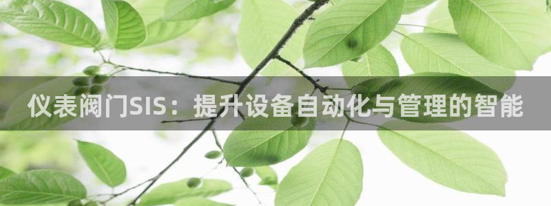 新宝gg创造奇迹