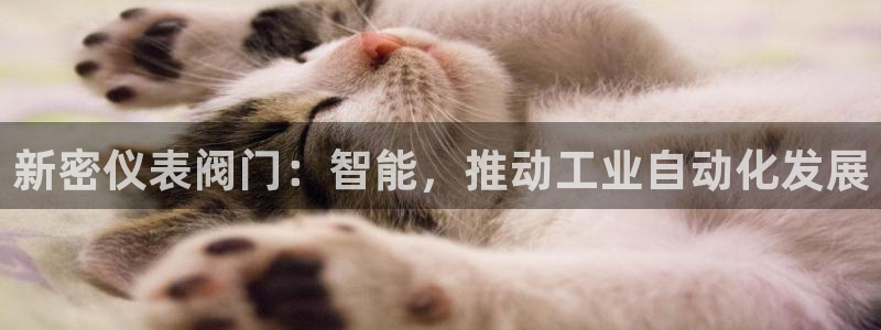 新宝gg如何代理