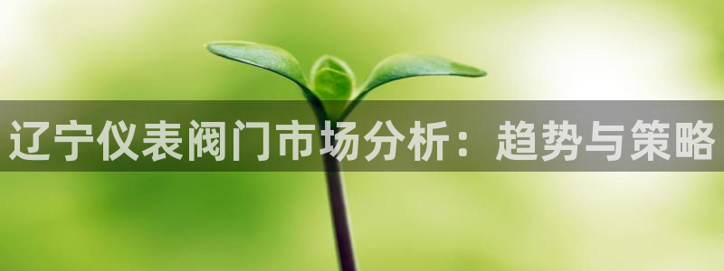 新宝gg网点