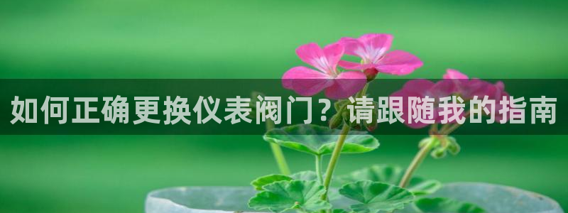 新宝皇冠gg