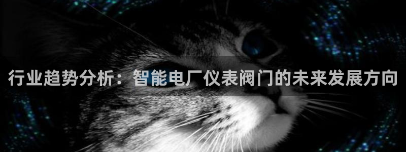 新宝gg赚钱