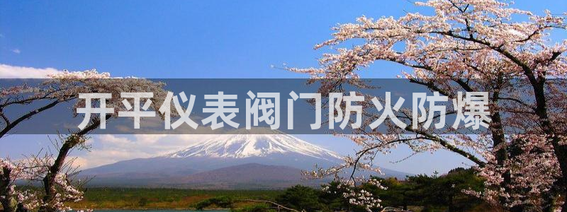 新宝gg资料