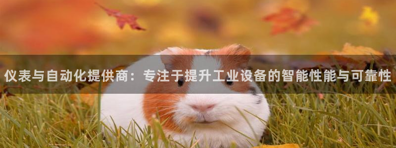 新宝GG于六七五一38