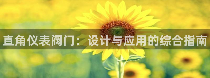 新宝gg平台连接