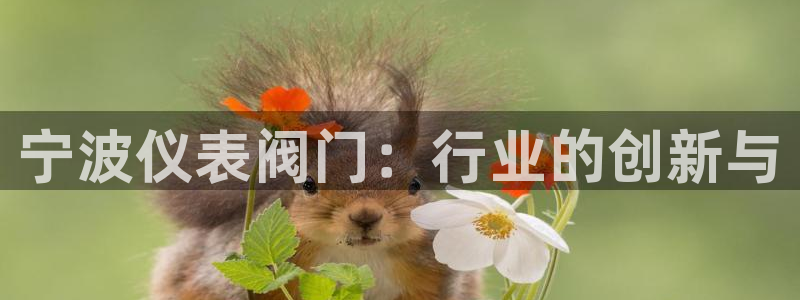 新宝gg网站