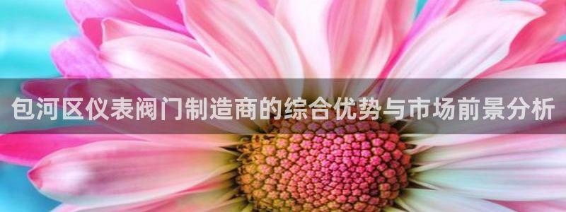 新宝_gg
