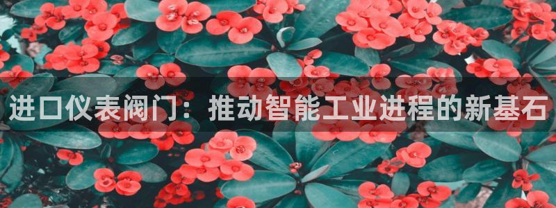 新宝GG 扣.772332