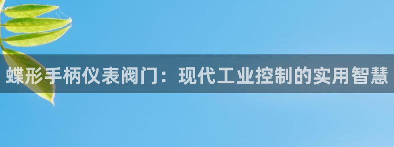 新宝gg怎样