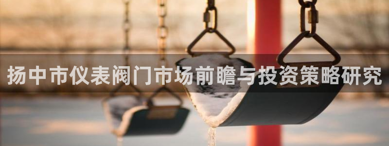 新宝gg属于