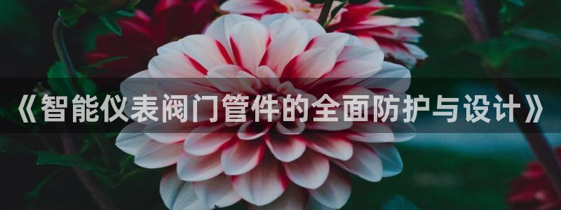 新宝gg刷流水