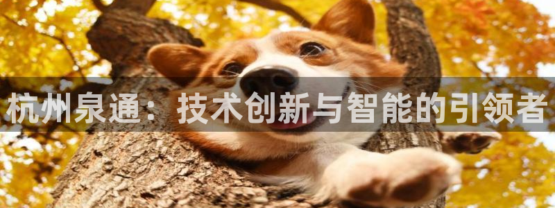 新宝皇冠gg