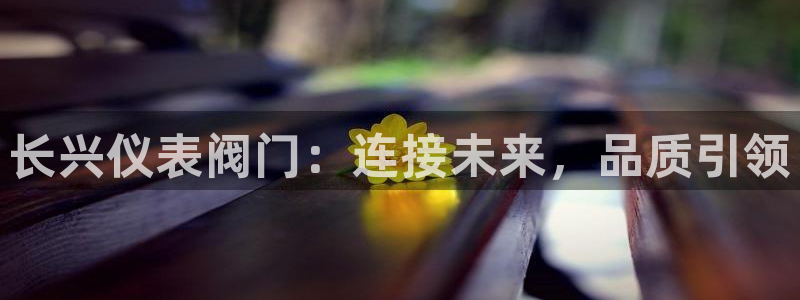 新宝GG反点