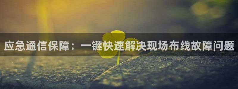 新宝gg打发