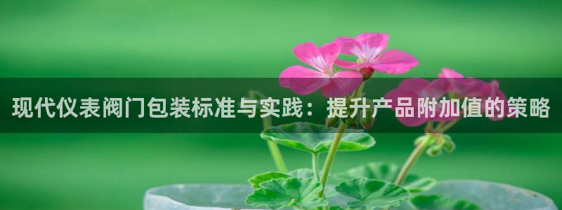 百度新宝gg