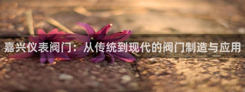 新宝gg返点模式