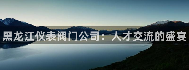 新宝gg如何登录