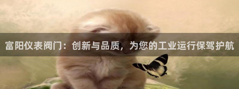 新宝gg娱乐怎么样