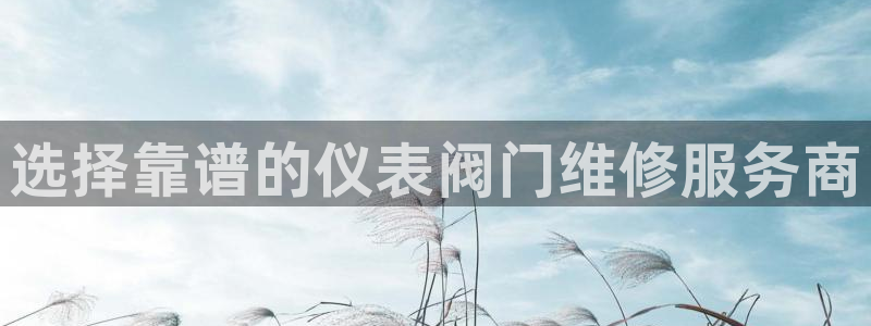 新宝gg建立团队