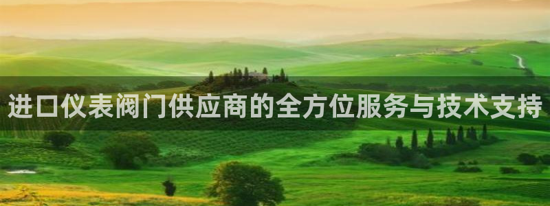 新宝gg客户登录