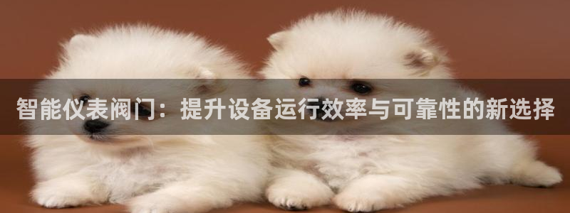 新宝gg怎么开户