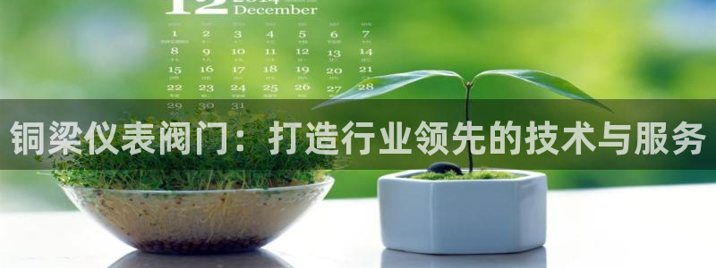 新宝gg真的能赚钱么