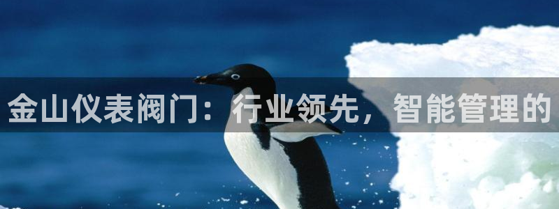 新宝gg指定平台